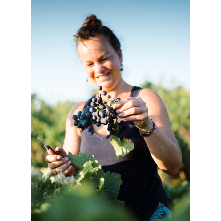 [FR-DDMA006-WINE-NA050] Domaine des Mathouans - Miel de Lune - Doux - 50cl