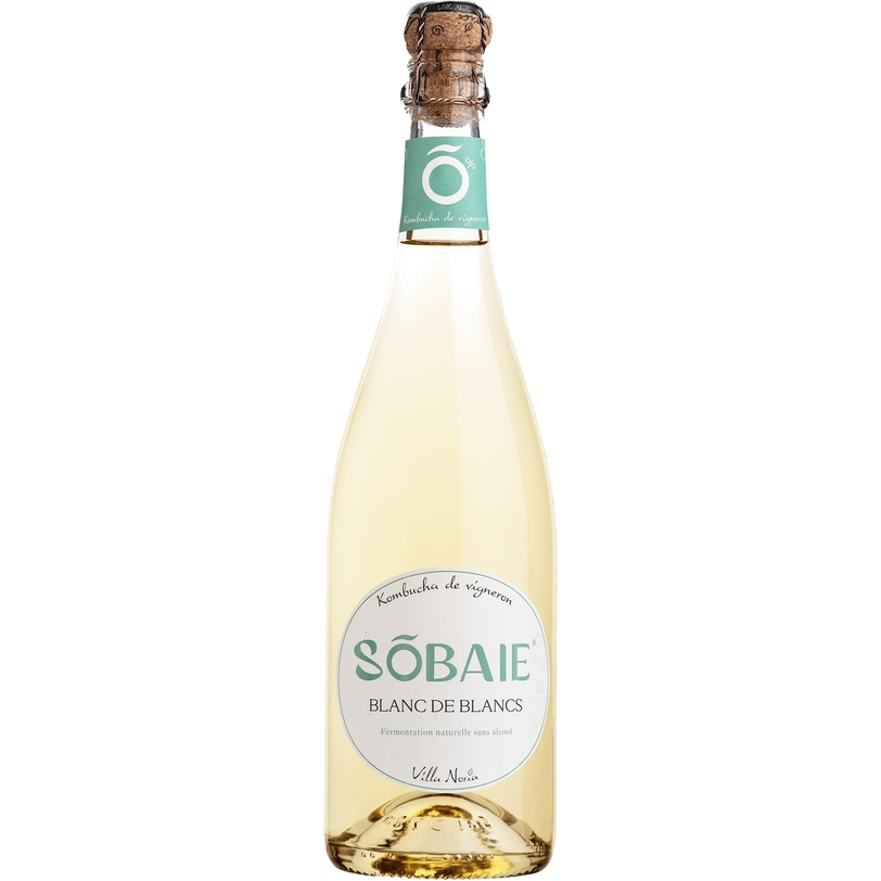 [FR-VILL000-WINE-NA075] Villa Noria -